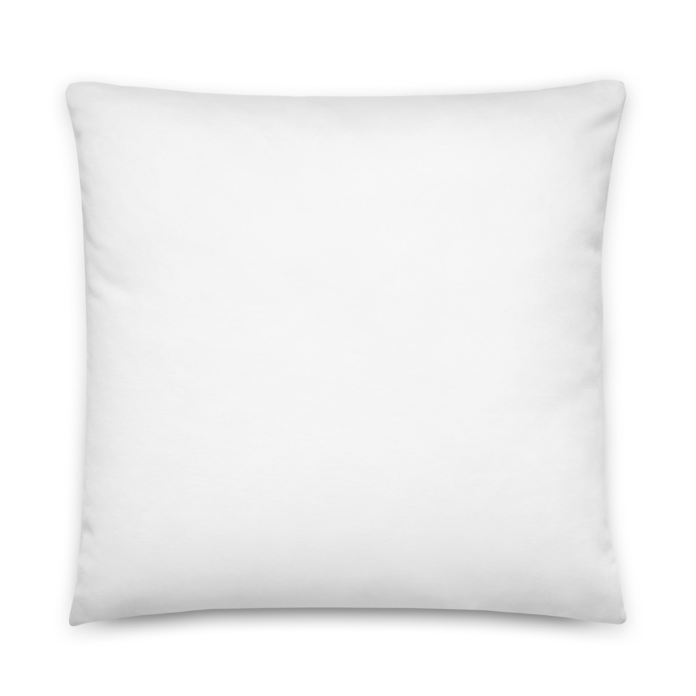 all-over-print-basic-pillow-22x22-5fe259bc78e75.jpg